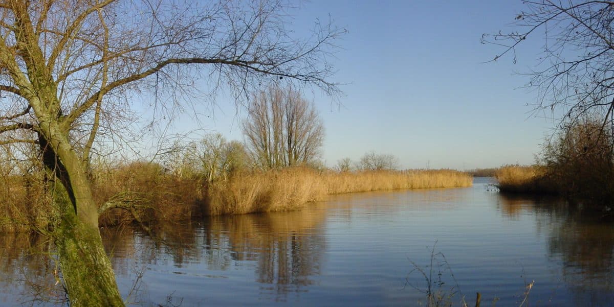 Restaurant-hotel-heere-Timmys-eethuys-raamsdonksveer-biesbosch-fietstocht Fietsroutes - Hotel Heere