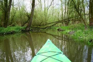 omgeving-Biesbosch-kanoen-Hotel-Heere-Raamsdonksveer-768x512_original