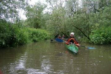 omgeving-Kanoen-biesbosch-Hotel-Heere-Raamsdonksveer-768x512_original